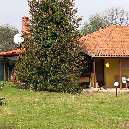 Olympos House Villa Litochoro Exteriör bild